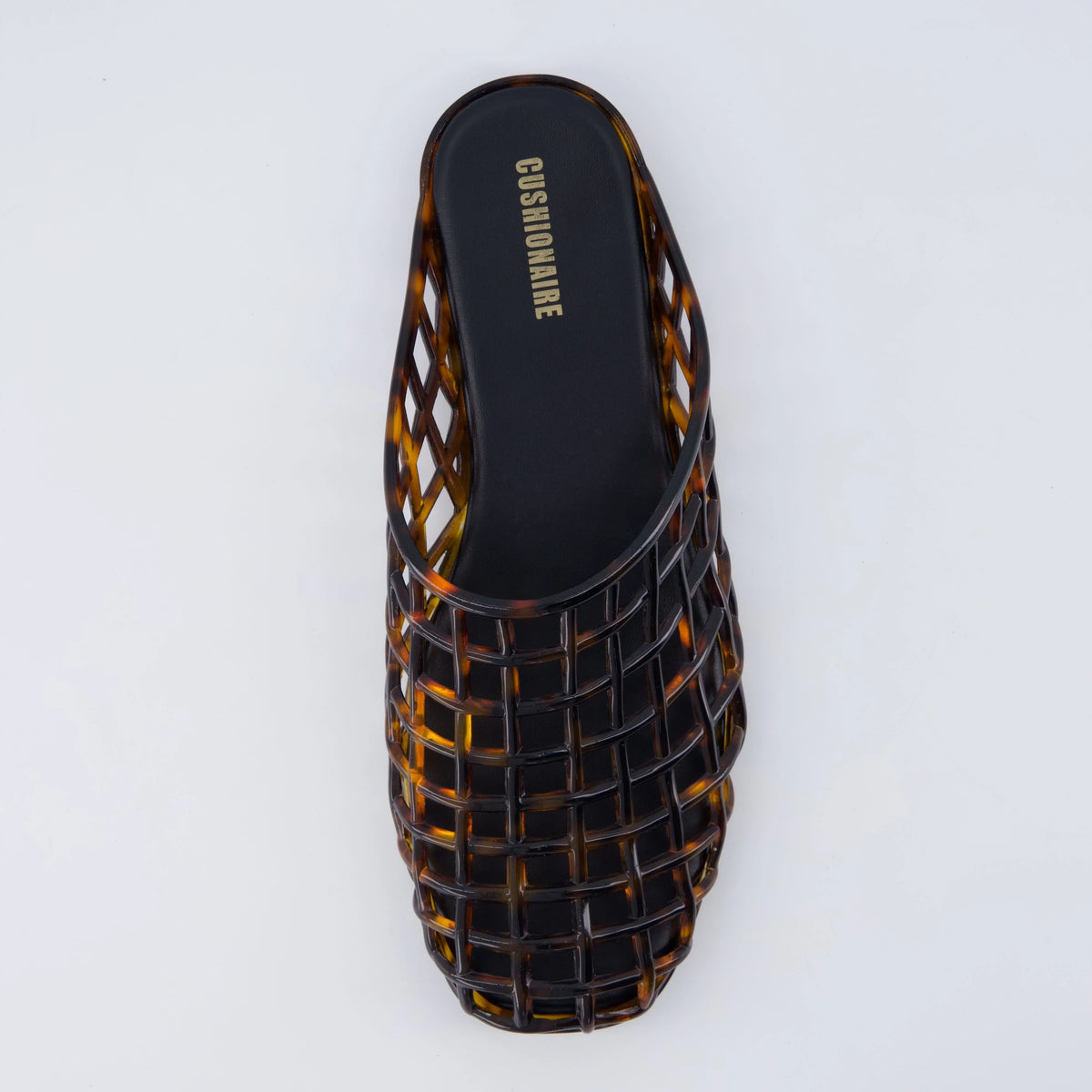 Lab Jelly Flats